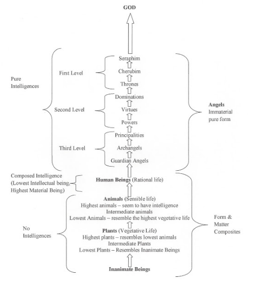 Screen Shot 2018-06-03 at 10.43.22 AM